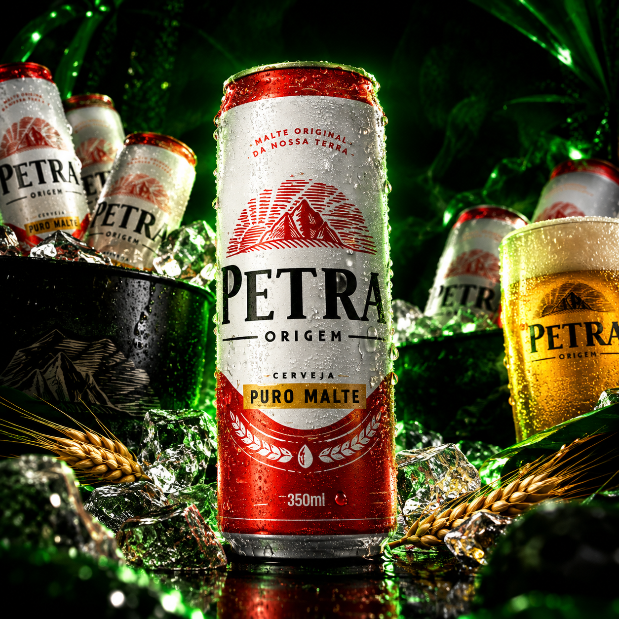 Petra Lata 350ml